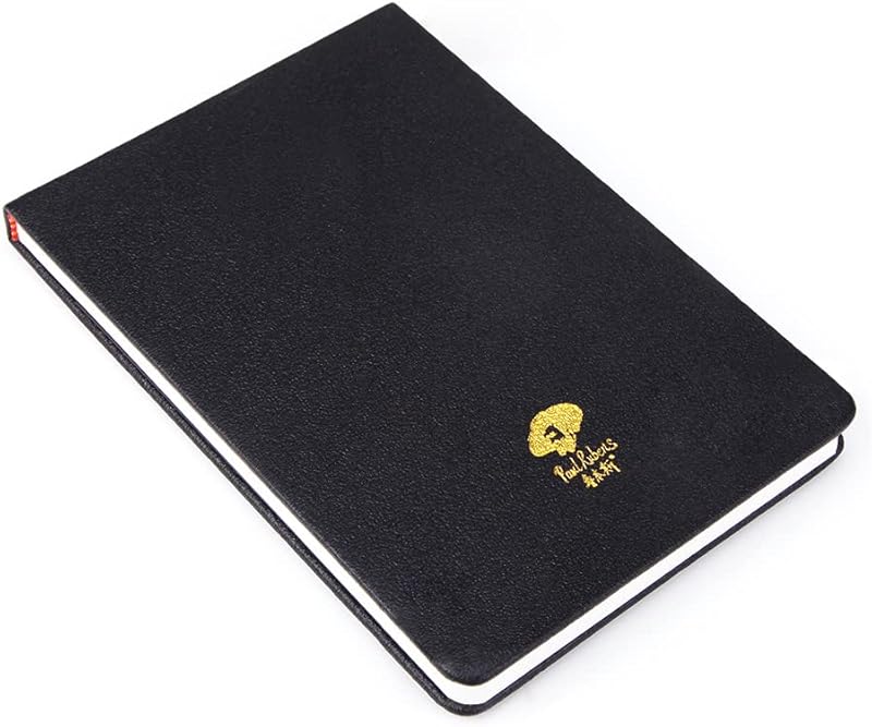 Paul Rubens Watercolor Beginners Experienced